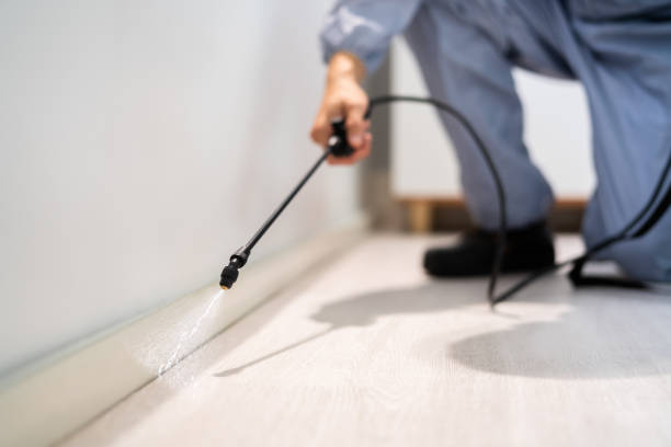 Licensed Cockroach Control service in Bethesda, MD - Nex Pest Control