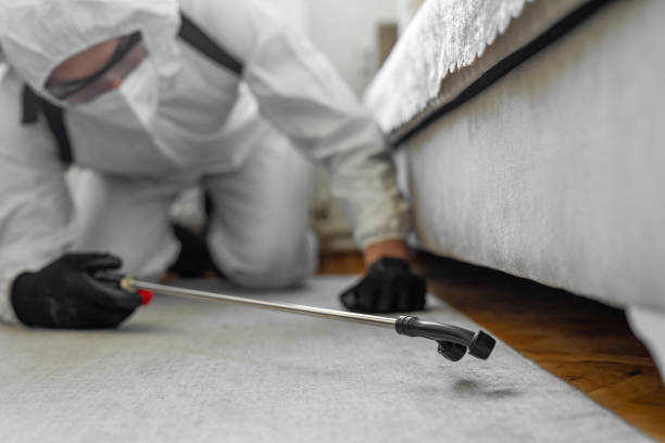 Professional Cockroach Control technician working in Bethesda, MD