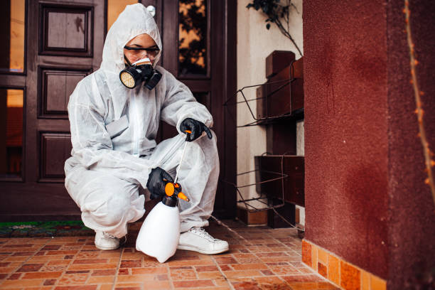 Reliable Cockroach Control contractor in Bethesda, MD by Nex Pest Control