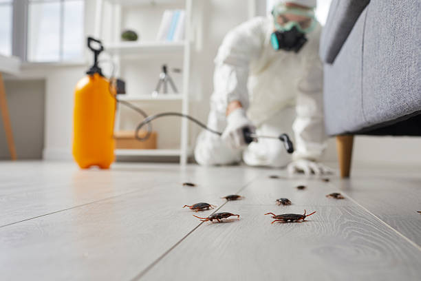 Trusted Fumigation Services service in Bethesda, MD - Nex Pest Control